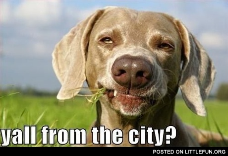 Yall from the city?