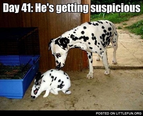 He's getting suspicious