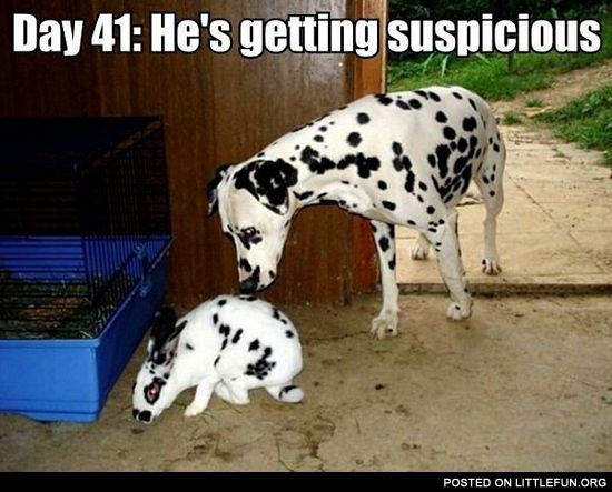 He's getting suspicious
