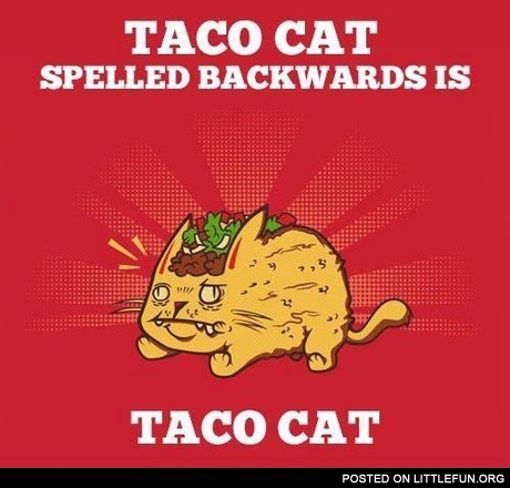 Taco cat