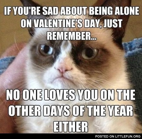 If you are sad about being alone on Valentine's Day