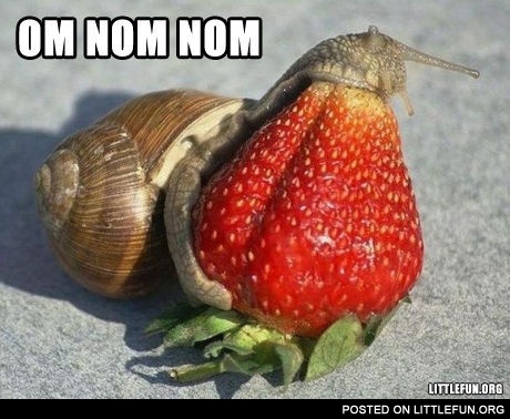 Snail and strawberry
