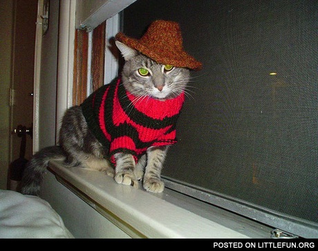 Freddy Krueger cat costume