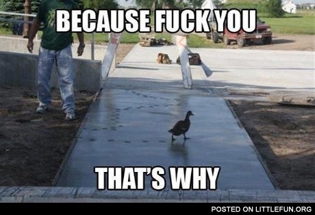 Because f**k you, that's why