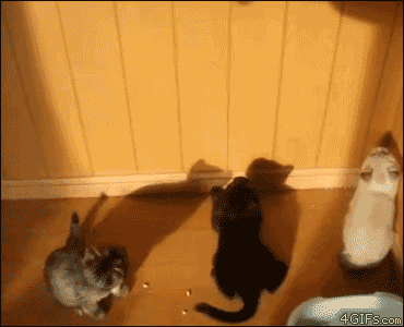Synchro jump