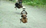 Star Wars Flying Dogs