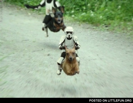 Star Wars Flying Dogs