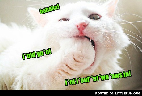 Haha, I told you