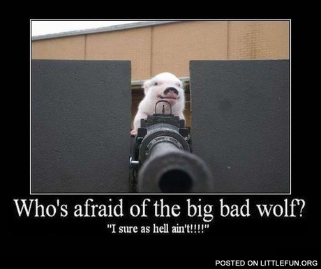 Who's afraid of the big bad wolf?