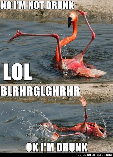 Im Not Drunk Hic Hic