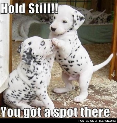 Hold Still!!