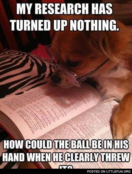 A Dog – With PhD.