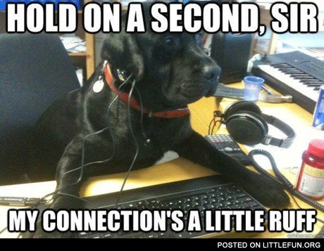 Dog Tech Support