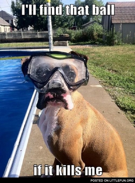 I’ll Find That Ball