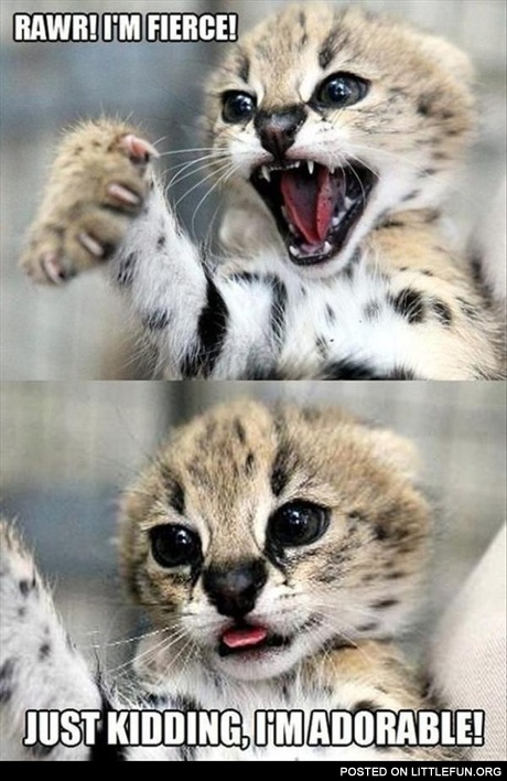 I Am Fierce