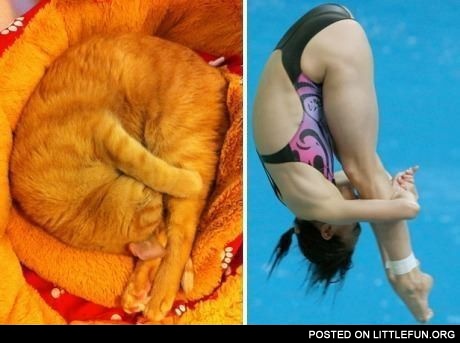 Flexibility