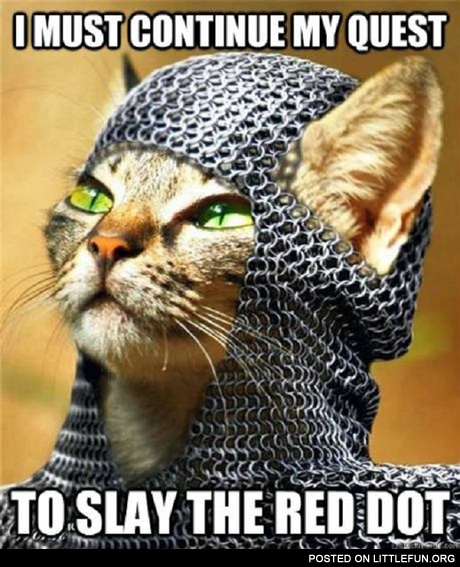 Slay the Red Dot
