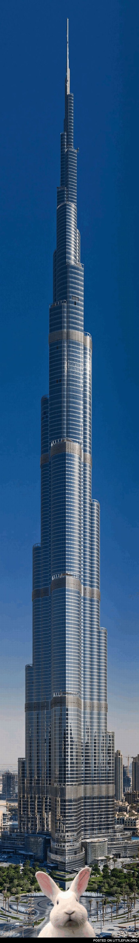 Picture of the Burj Dubai