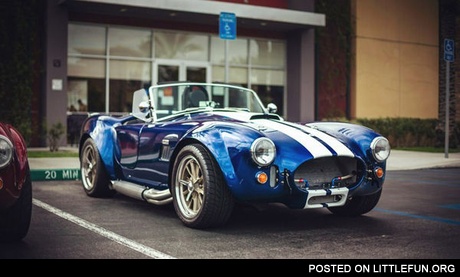 Shelby Cobra