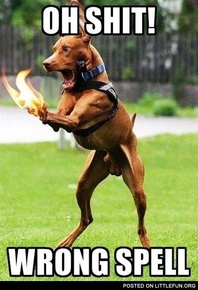 Dog Magician