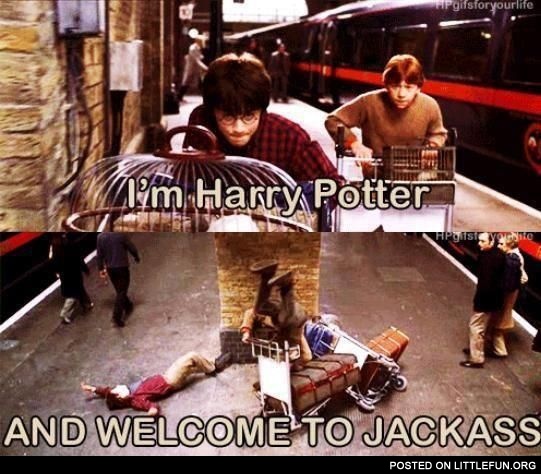 Harry Potter Jack@ss