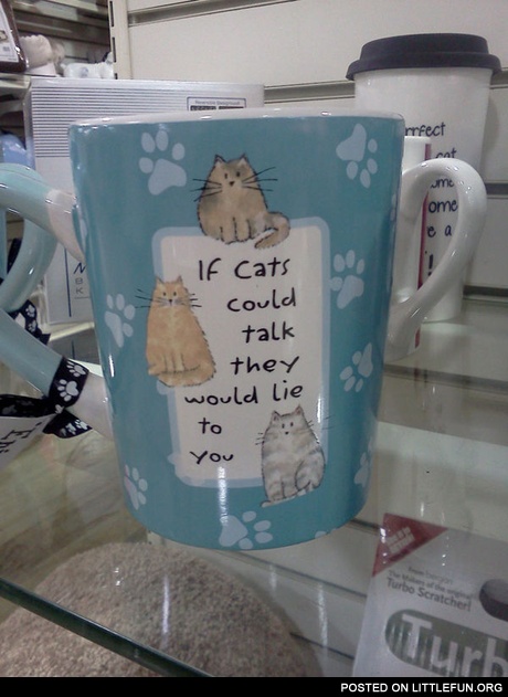 If cats could talk
