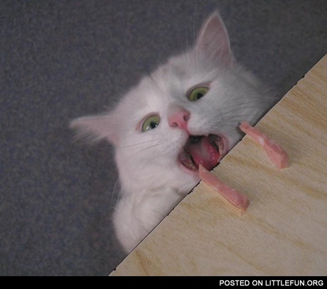 Omnom
