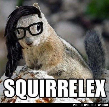 Squirrelex