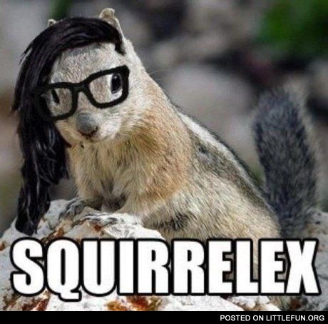 Squirrelex
