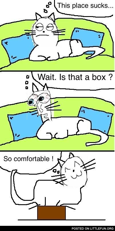 Cat logic