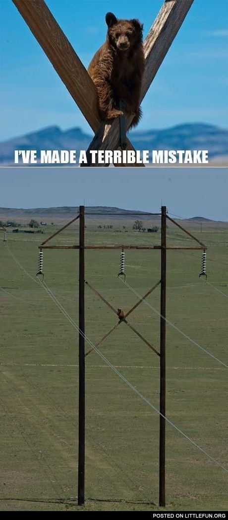 I've made a terrible mistake