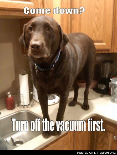 Vacuum first