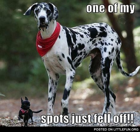 One Of My Spots Just Fell Off!