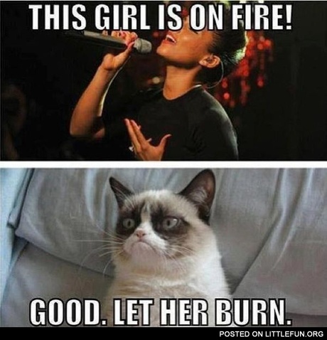 Grumpy cat says BURN!