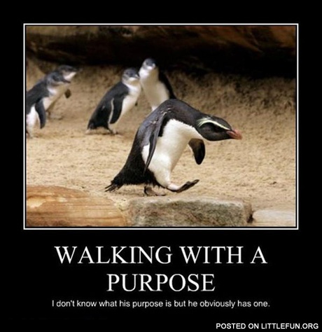 Walking with a purpose