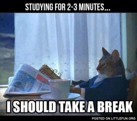Studying for 2-3 minutes