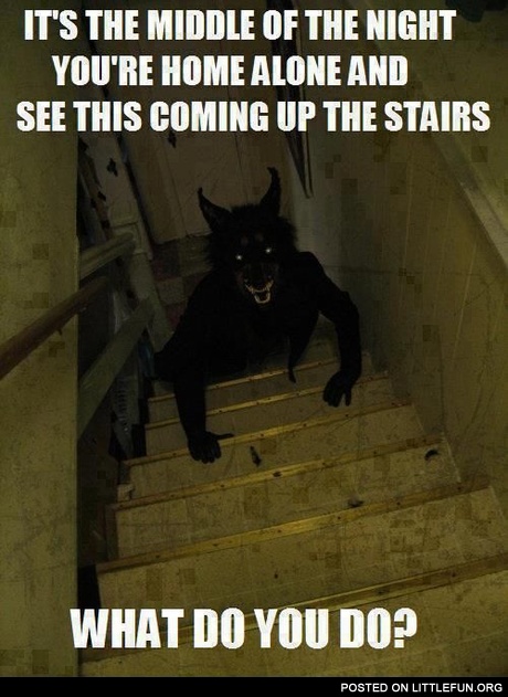 Home Alone And You See This