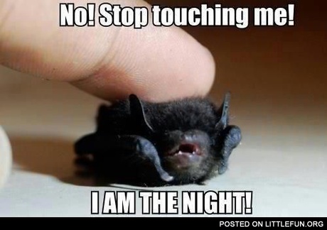 I am the night!