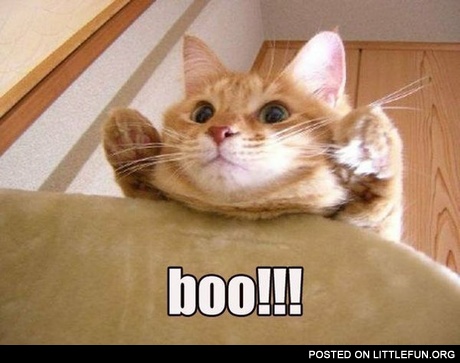 Boo