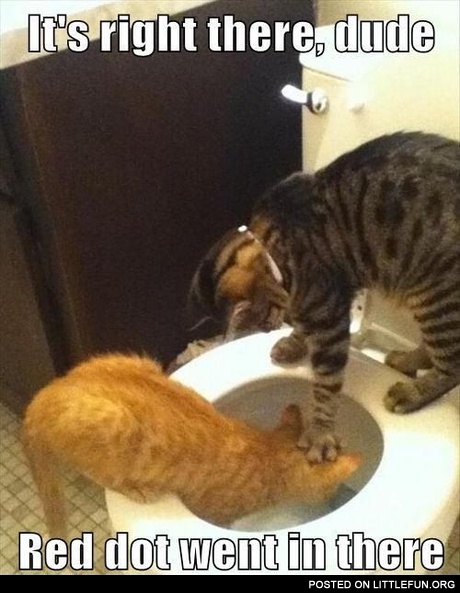 It's right there, dude