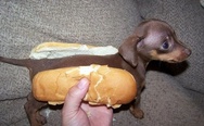 A Hot-Dog