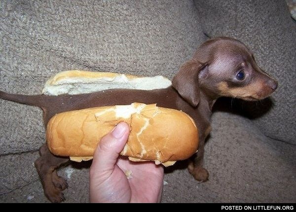A Hot-Dog