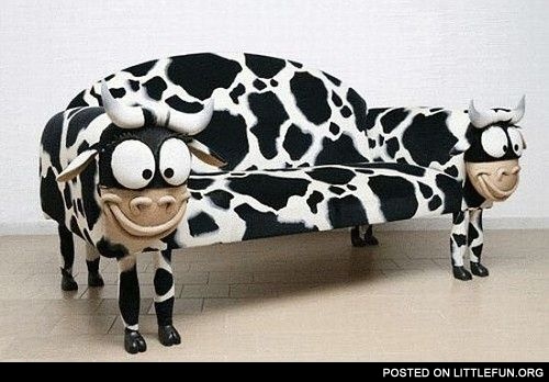 Cow couch