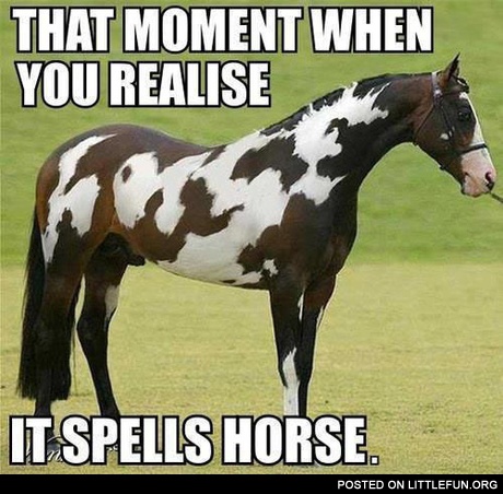 Moo