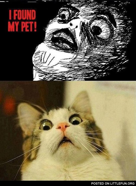 I found my pet