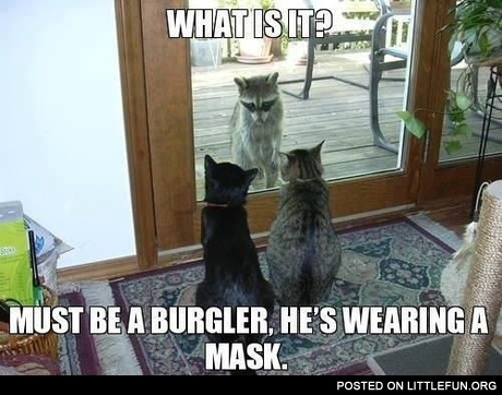 Burgler