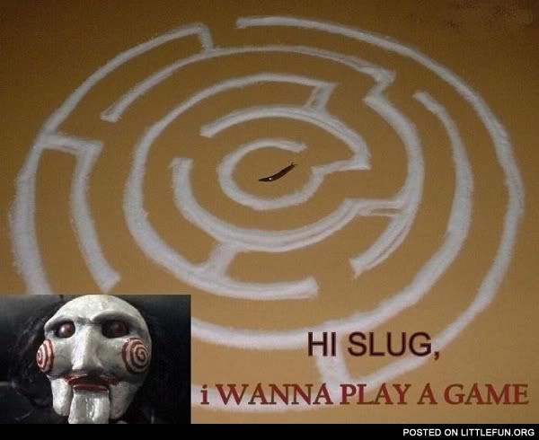 Hi slug