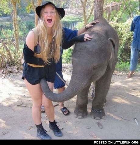 I see what you did there. Naughty elephant.