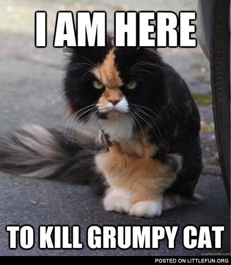 Who's the grumpiest?