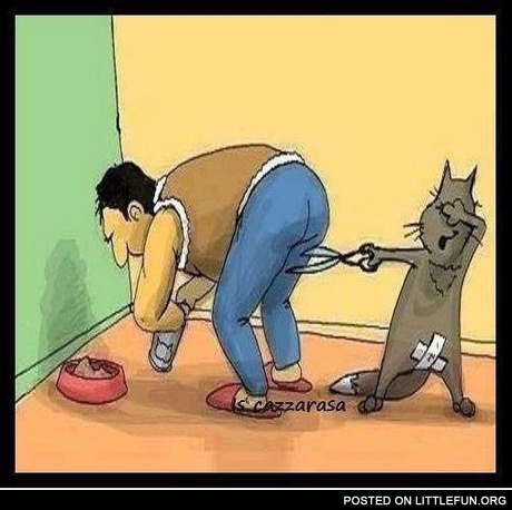 Revenge